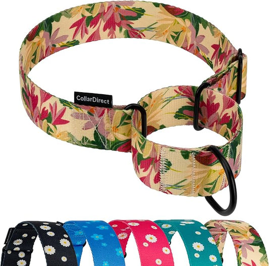 CollarDirect Martingale Collars for Dogs Heavy Duty Floral Pattern Female Safety Nylon Training Wide Collar Flower Design Large Medium (L, Neck Size 15"-20", Toffee)