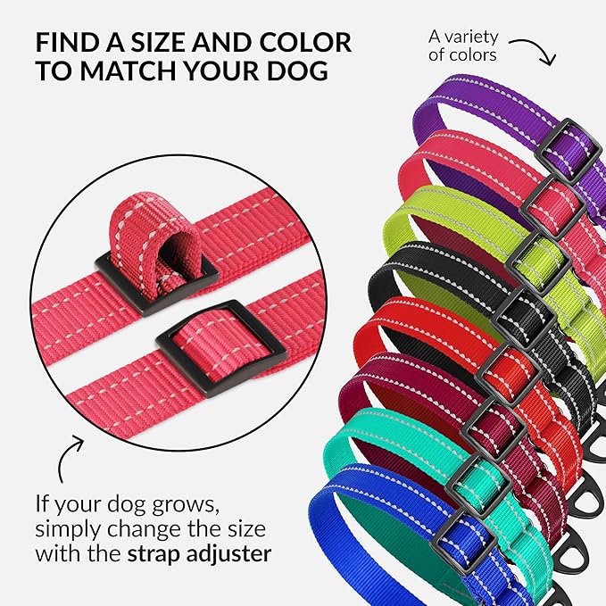 CollarDirect Reflective Martingale Dog Collar Nylon Heavy Duty Training Pet Collars for Small Medium Large Dogs Puppy Black Blue Mint Green Red Pink Purple Dark Red (M, Neck Size 13"-18", Pink)