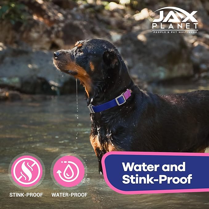 Jelly Waterproof Martingale Dog Collar, No Pull Nylon Collar with Alloy Metal Buckle & D-Ring for Outdoor Training and Walking, Anti Pull, Escape Free, One Time Adjustment - Blue & Rose, XL