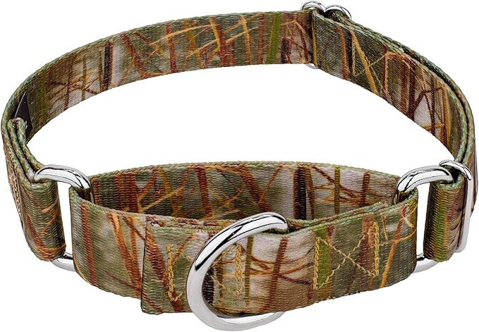 Country Brook Petz - Waterfowl Camo Martingale Dog Collar - Camouflage Collection Featuring Rugged Designs (1 Inch, Medium)