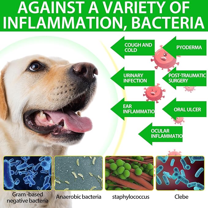 Dog Antibiotics, Natural Antibiotics for Dogs, Dog Multivitamin Herbal Supplements 60ml