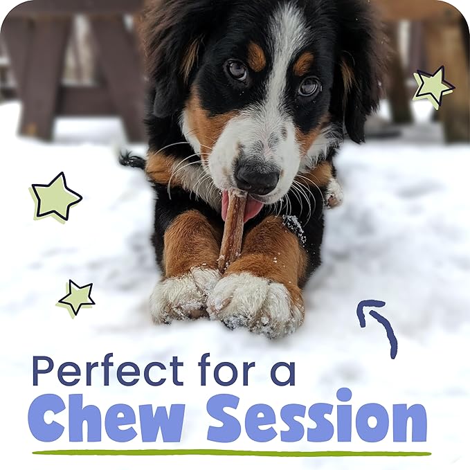 Pawstruck Natural 1–4" Bully Stick Bites for Small Dogs and Puppies – Single Ingredient, Digestible, Rawhide-Free, High-Protein Chew Treat Bones – 8 oz Bag – Packaging May Vary