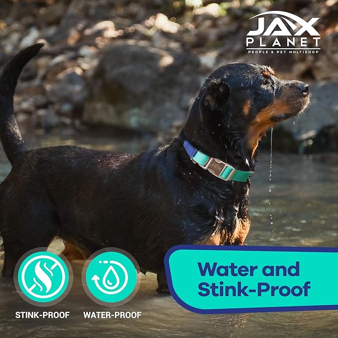 Jelly Waterproof Martingale Dog Collar, No Pull Nylon Collar with Alloy Metal Buckle & D-Ring for Outdoor Training and Walking, Anti Pull, Escape Free, One Time Adjustment - Turquoise & Blue, M