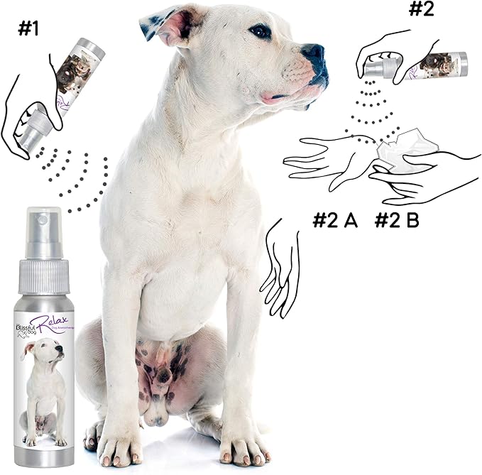 The Blissful Dog Dogo Argentino Relax Dog Aromatherapy Spray for Your Dog's Anxiety