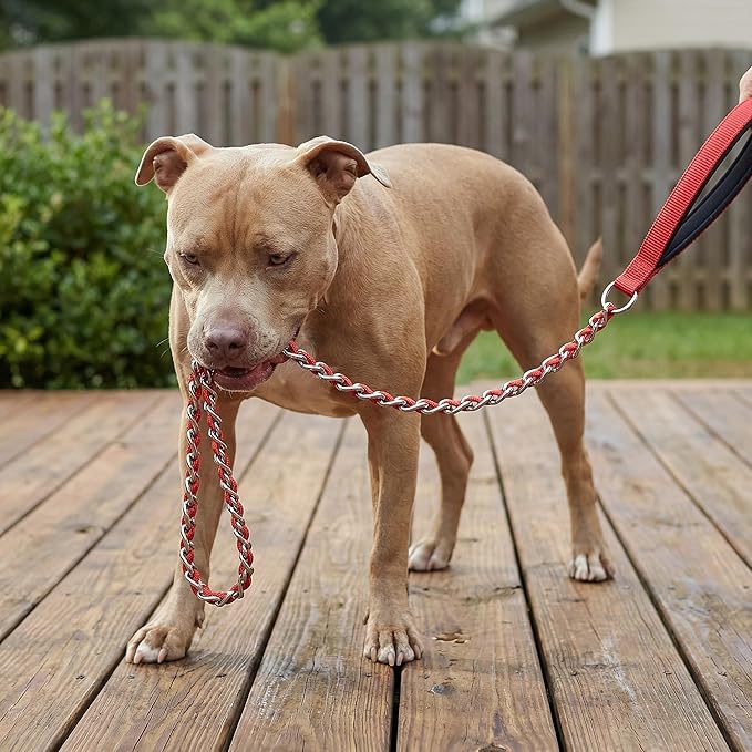 Chew Proof Metal Dog Leash with Built-in P-Chain Collar - 2FT/4FT for Small/Medium/Large Dogs (30-150lb), Anti-Bite Chain Link with Soft Padded Handle, 360° Rotating Clasp Red