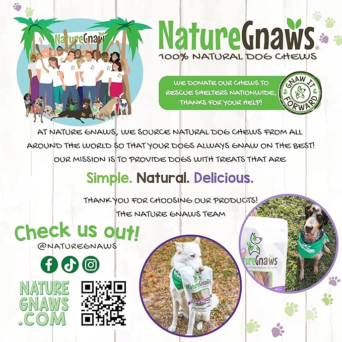Nature Gnaws Antlers for Dogs (8oz) - Mix of Elk and Deer Antler - Variety of Split and Whole Pieces - Long Lasting for Aggressive Chewers and Large Dogs