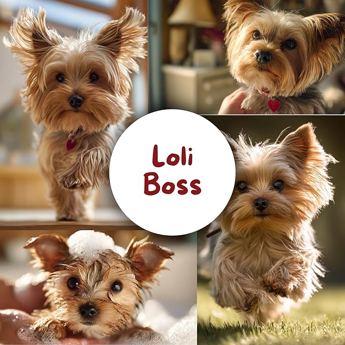 lolita's paws Loli Boss Masculine Dog Cologne – Deodorizing Pet Spray for Dogs, Conditions & Moisturizes Coat, Fresh Scent, 8 oz, Made in USA, For Him