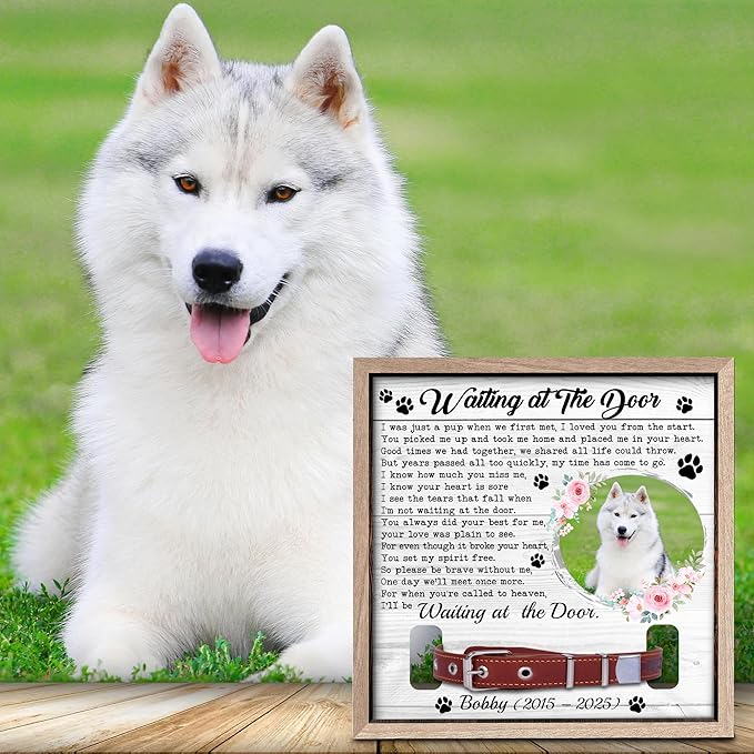 Dog Collar Picture Frame Memorial – Personalized Pet Loss Gift – Pet Memorial Frame with Collar Holder & Photo – Dog Memory Frame for Loss of Dog