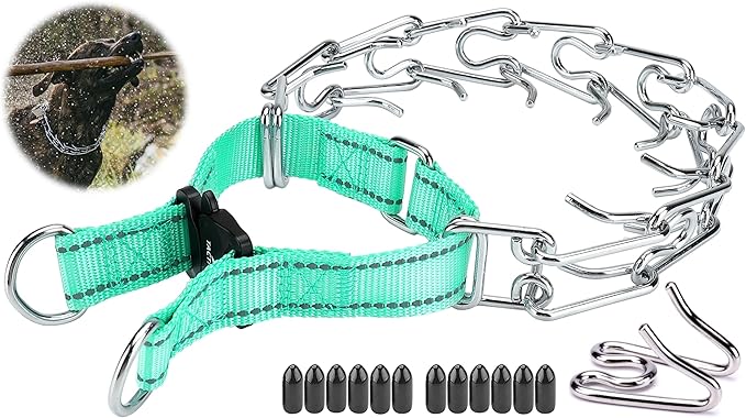 Dog Training Collar with Quick-Release Buckle, Adjustable Stainless Steel Collar for Small Medium Large Dogs (Teal, S Neck Girth 11.2"-14.5")