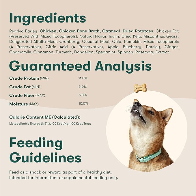 Jinx Oven-Baked Chicken Bone Broth Biscuit Dog Treats - Crunchy, All Natural, Superfood-Rich with Cage-Free Chicken, Dog Biscuits for Puppies, Adults & Seniors - 16oz