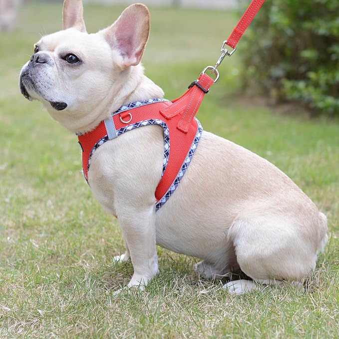 Mercano Soft Mesh Dog Harness and Leash Set, No-Chock Step-in Reflective Breathable Lightweight Easy Walk Vest Harnesses with Safety Buckle for Small Dogs, Cats (Red, XL)