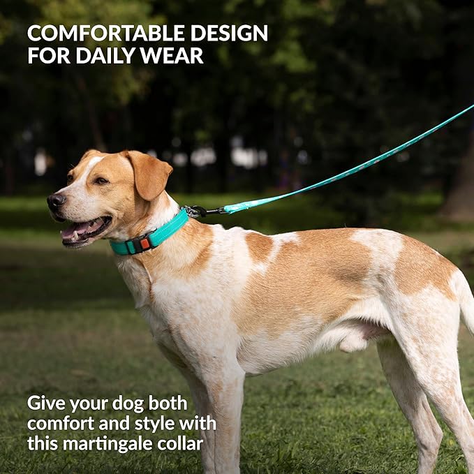 CollarDirect Martingale Dog Collar with Stainless Steel Chain and Quick Release Buckle - Reflective Collar for Large, Medium, Small Dogs - Mint Green, Medium (Neck Size 14"-17")