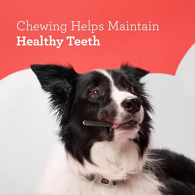 DreamBone Triple Action Dental Sticks Charcoal, 10 Count, Rawhide-Free Chews for Small and Medium Sized Dogs Freshens Breath