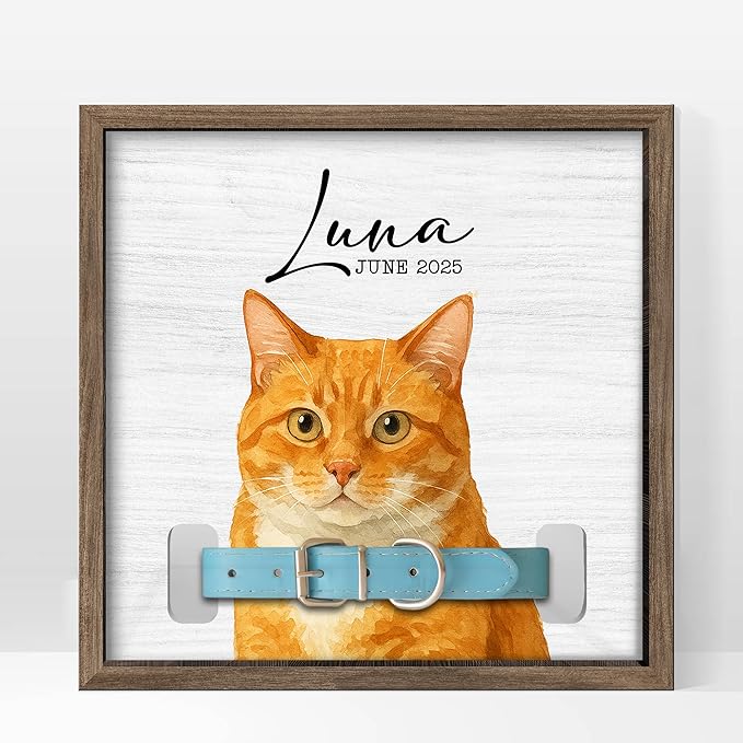 Dog Collar Memorial Frame with Custom Pet Portrait – Minimalist Pet Loss Picture Frame with Name and Date – Personalized Dog Memorial Gift with Collar Holder