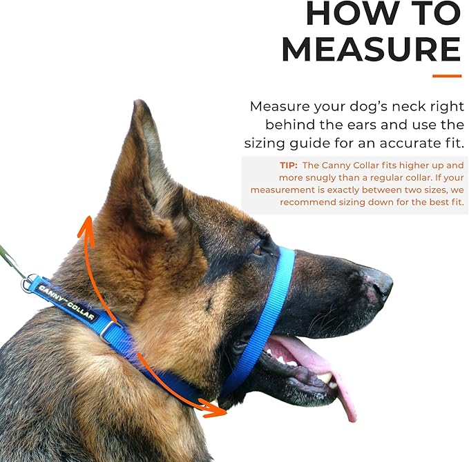Canny Collar No-Pull Dog Head Collar | Train Your Dog to Stop Pulling & Walk On a Loose Leash | Gentle, Safe, Comfortable Training Aid | Medium Dogs | Black, Size 3