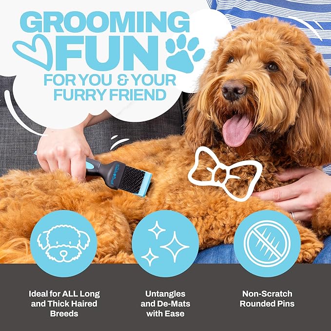 Slicker Brush for Dogs, Single Head Dog Hair Brushes, Flexible Head Slicker for Dogs, Poodle, Labradoodle, Sheepadoodle, Tangle-Free Grooming, Healthy & Shiny Coat Pet Brushes