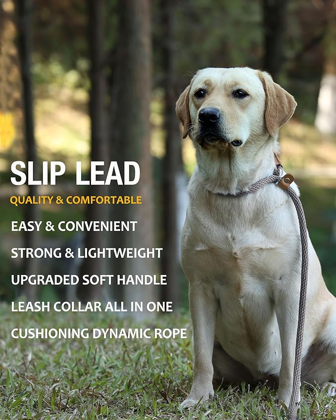 lynxking Dog Leash Slip Lead 5 6 8 FT Dog Training Leash Strong Heavy Duty Braided No Pull Training Lead for Small Medium Large Dogs