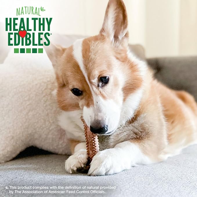 Nylabone Healthy Edibles Natural Dog Chews Long Lasting Meaty Center Beef Flavor Treats for Dogs, Small (12 Count) (Pack of 2)
