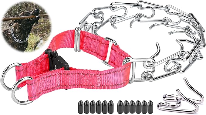 Dog Training Collar with Quick-Release Buckle, Adjustable Stainless Steel Collar for Small Medium Large Dogs (Pink, XL Neck Girth 16.9"-22.2")