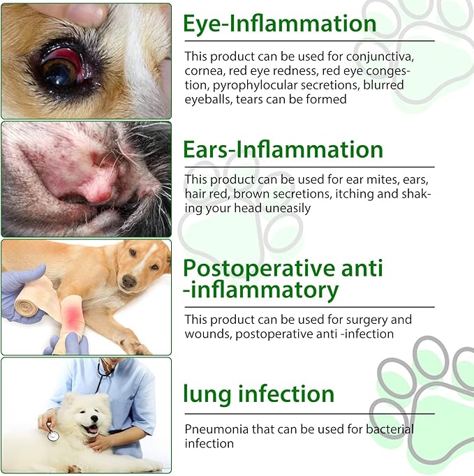 Antibiotics for Dogs, Natural Dog Antibiotics Supports Allergy, Itch Relief, UTIs & Ear Infections, Dog Multivitamin for Pets Support Skin, Coat, & Digestion, Bacon Flavor - 60ml x 2