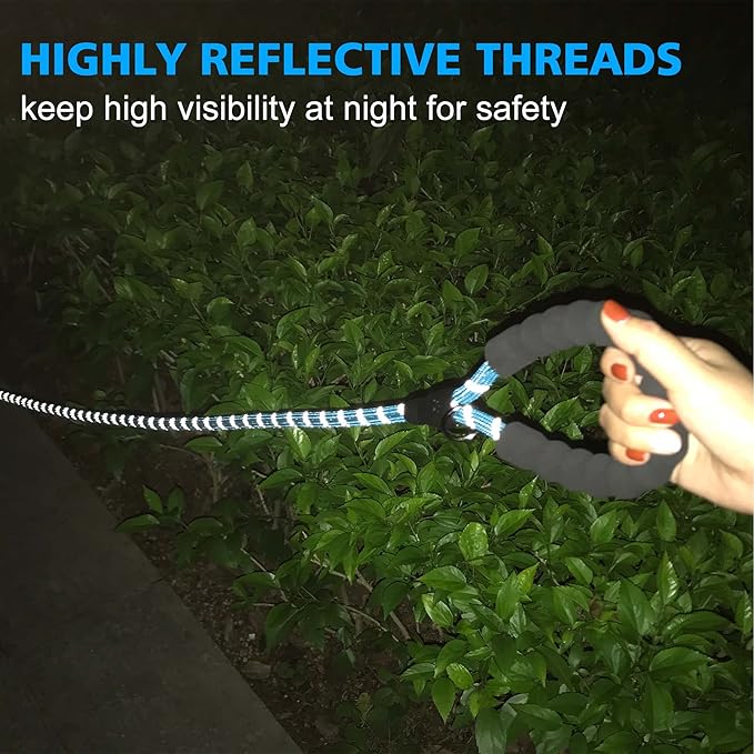 Reflective Dog Collar Padded with Soft Neoprene Breathable Adjustable Nylon Dog Collars for Small Medium Large Dogs (Small (Pack of 1), Vivid Blue Plaid Collar+Leash)