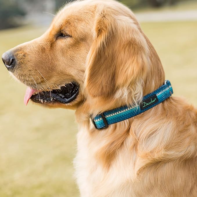 Martingale Dog Collar No Pull Pet Collar Heavy Duty Dog Martingale Collars Silky with Unique Geometric Pattern for Medium and Large Dogs (Large, Turquoise)