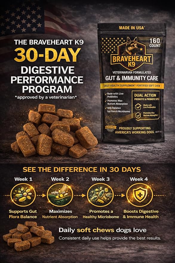 Braveheart K9 Gut & Immunity Care Dog Supplement, Veterinarian Formulated, Dual Action Prebiotic & Probiotic System, Fortified Soft Chew, 160 Count