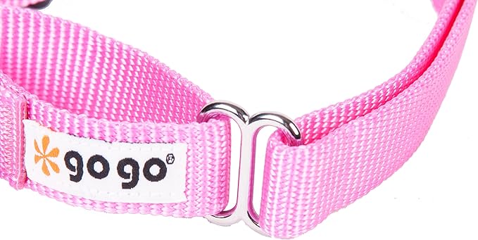 GOGO Pet Products 3/8-Inch Martingale Dog Collar, X-Small, Pink