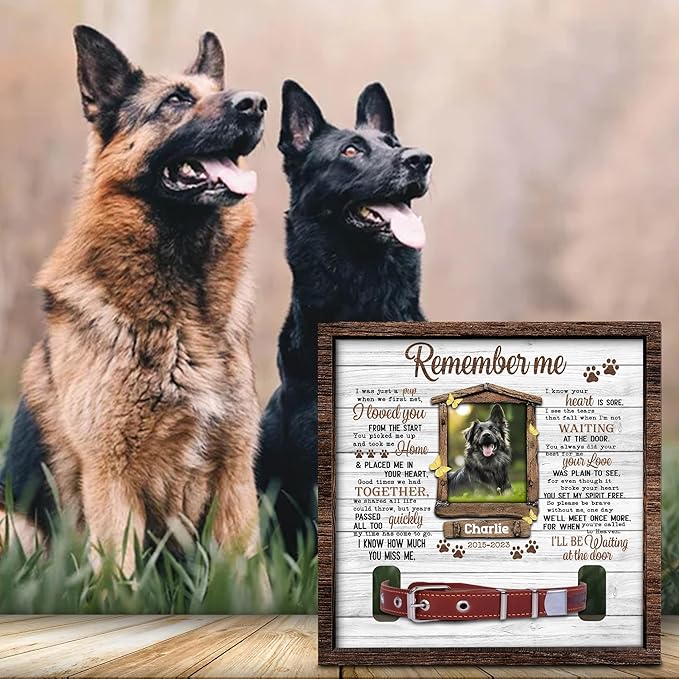 Dog Collar Memorial Frame – Personalized Pet Loss Picture Frame with Collar Holder – Sympathy Gift for Dog Lovers – in Memory of Dog Keepsake Display