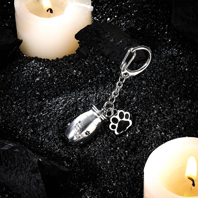Tudomro Cremation Pet Dog Urns Keychain for Ashes with Storage Bag Stainless Steel Small Cat Paw Memorial Keepsake Jewelry