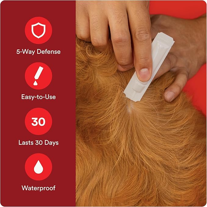 Advecta Ultra Flea and Tick Prevention for Dogs - Large Dog Flea and Tick Treatment & Control - Mosquito Repellent - Fast Acting Waterproof Topical Drops, 4 Month Supply
