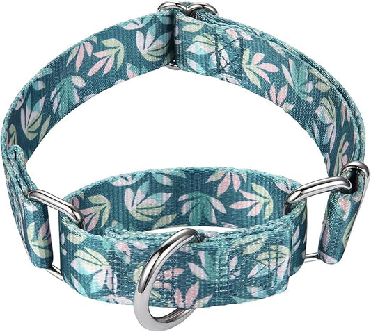 Mikivery Martingale Collar for Dogs 1 inch Sturdy Durable Collars Medium and Large Breed for Walking Training Outdoor Daily Use
