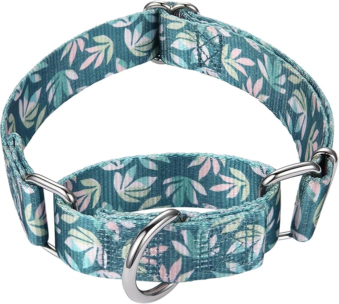 Mikivery Martingale Collar for Dogs 1 inch Sturdy Durable Collars Medium and Large Breed for Walking Training Outdoor Daily Use