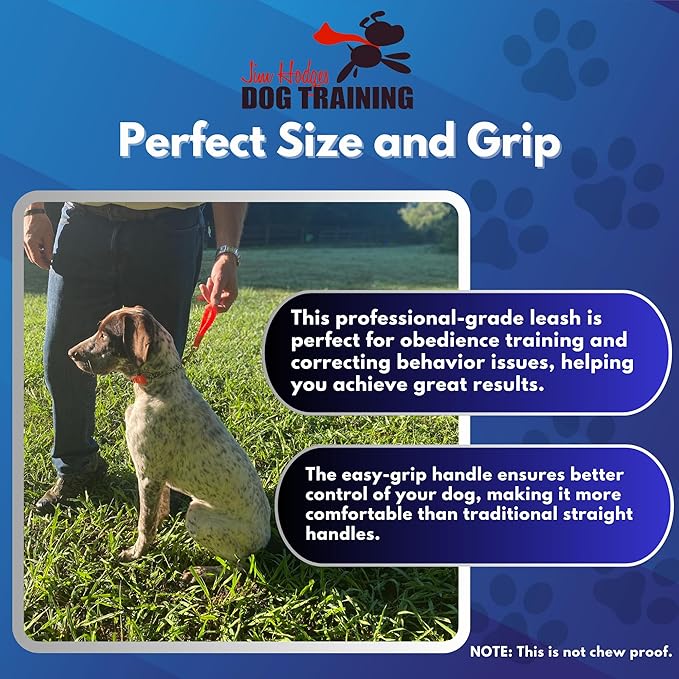 Biothane Training Tab Leash for Dogs, Brass Hardware, No Pull with Easy Grip Handle, Made in The USA, Professional Grade-Orange