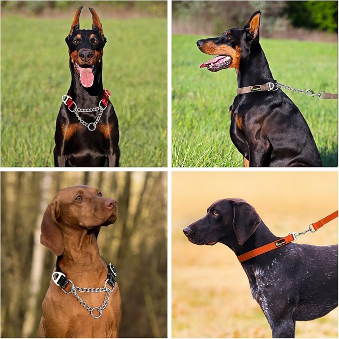 Plutus Pet Martingale Dog Collar with Stainless Steel Chain and Reflective Nylon, Adjustable No Pull Training Collar, for Small Medium, and Large Dogs, Cyan, L