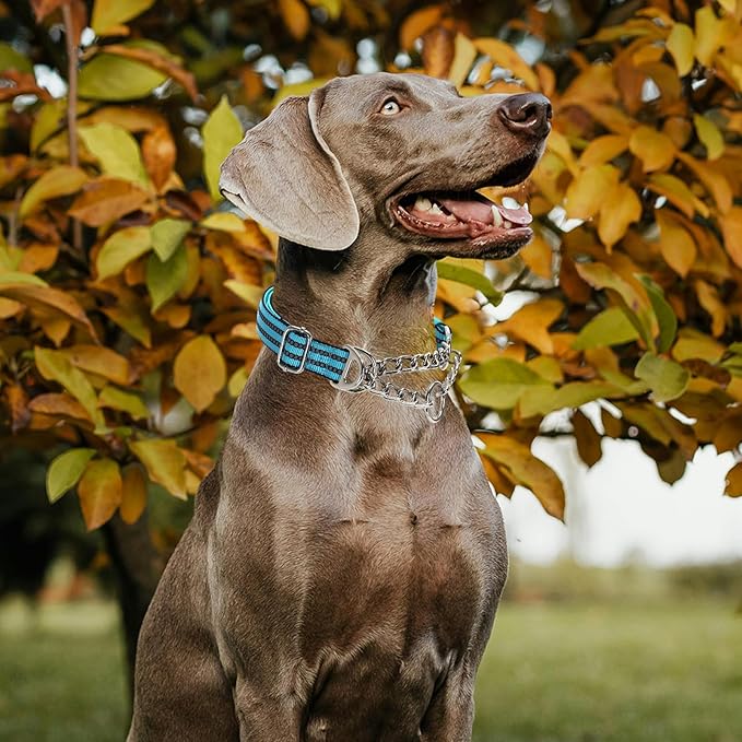 Martingale Collar for Dogs,Heavy Duty No Pull Dog Collar with Reflective Nylon, Adjustable Choke Chain Collar with Soft Padded Training Collar for Large/Medium Dogs (Blue L)
