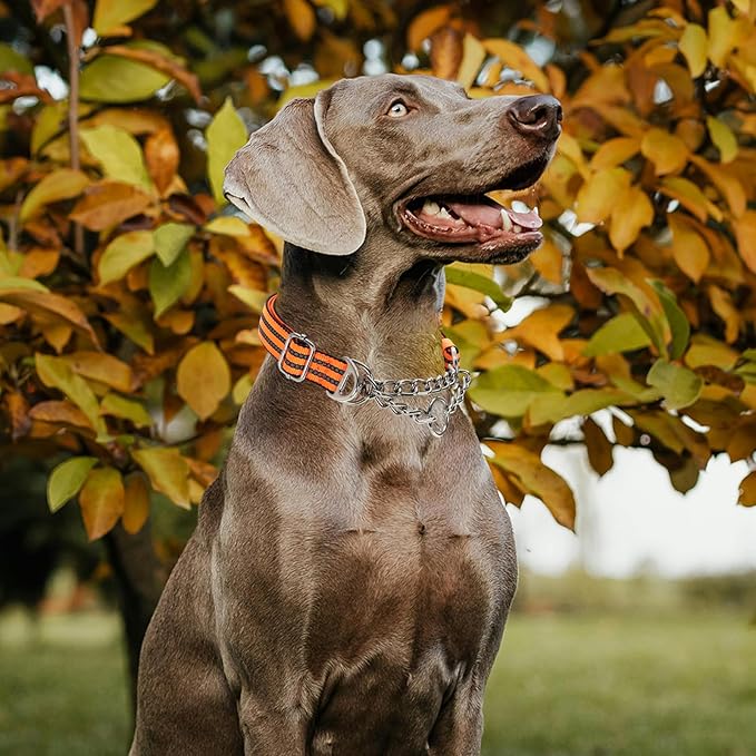 No-Pull Martingale Dog Collar for Medium Large Extra Large and XXL Dogs- Reflective Padded Strap & Durable Chain, Anti-Escape Design for Safe Walks & Training(Orange XXL)