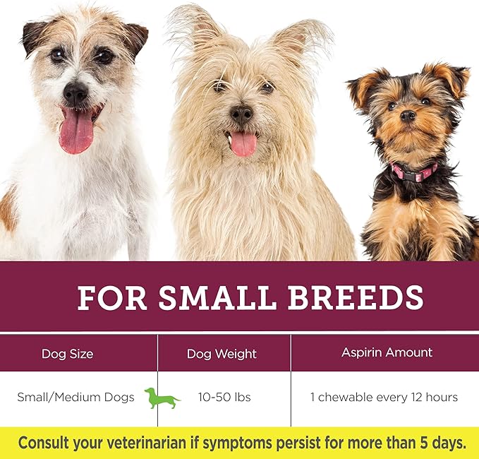 Vetality Canine Aspirin for Dogs | Fast Pain Relief | Small to Medium Dogs | Liver Flavor | 75 Chewable Tablets