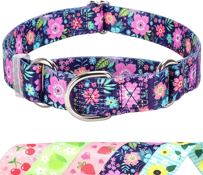 Martingale Dog Collar for Small Medium Large Pet Dogs，No-Slip Escape Proof Choke No Pull Dog Collar for Male and Female Dogs Walking Running Training -Bohemia Flowers L