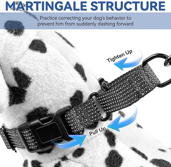 Martingale Dog Collars Adjustable Training Martingale Collar for Dogs - Reflective No Pull Dog Collar with Quick Release Buckle (Army Green, Extra Large)