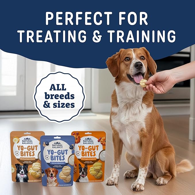 Natural Balance Yo-Gut Bites Crunchy Dog Treats with Real Peanut Butter & Banana, Greek Yogurt Drizzle, Probiotics for Digestive Support, 10oz Bag