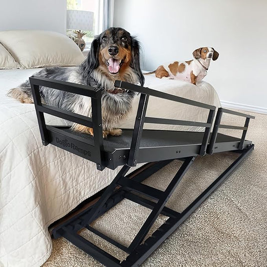 DoggoRamps Dog Ramp for Beds - Solid Hardwood with 5 Finish Options - Adjustable up to 37" High Beds with Low Incline, Safety Rails & Anti-Slip Grip, For Small Dogs up to 50lbs - Made in North America