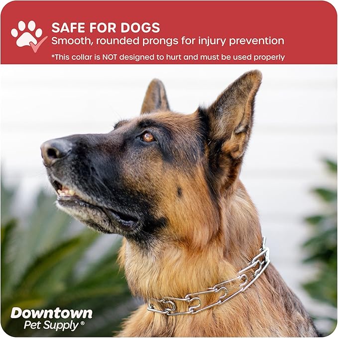 Downtown Pet Supply Chrome Plated Prong Collar for Dogs, Small - Adjustable, No-Choke and No Pull Dog Collar with Removable Links - Pinch Collar for Dogs Under 20 lbs and 14" Neck Width