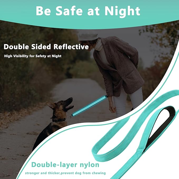 Dog Leash 5ft Long, Double Handle Dog Leash for Safety Control Training, Heavy Duty Dog Leads with Traffic Padded Handles, Reflective Leashes for Small Medium Large Dogs(5ft, Turquoise)