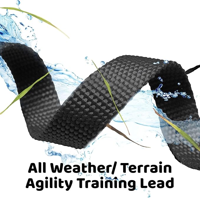 Downtown Pet Supply - Long Dog Leash - Dog Training Leash - Recall & Obedience Dog Training Tools - Nylon - 150 ft - Black Dog Leash