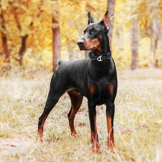 Martingale Dog Collar for Medium Dogs, No Pull Choke Collar with Reflective Nylon - Padded Comfort &- Adjustable Safe Dog Collar No Buckle for Nighttime Walking & Training -Black M