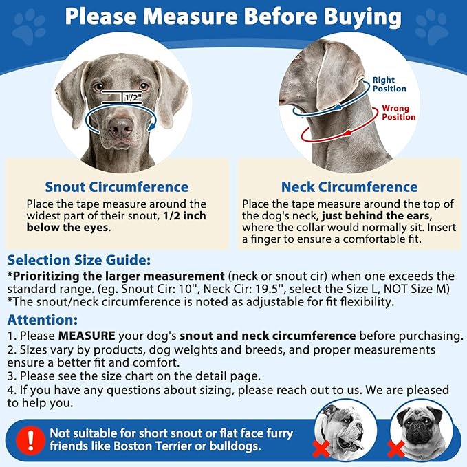 BARKLESS No Pull Dog Head Collar for Gentle Training Walking, Soft Padded Head Halter with Collar Safety Clip, Comfortable Fit Muzzle Leash with Reflective Strap for Medium Large Dog (Blue, M)