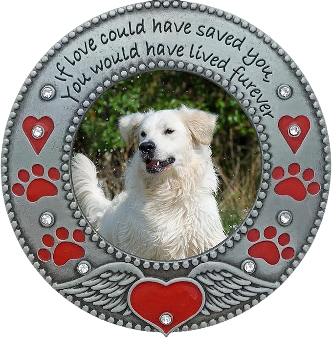 Pet Memorial Photo Ornament - Dog or Cat - Set of 3 - Enameled & Jeweled with Red Hearts, Angel Wings & Paw Prints - Gift/Storage Bag Included - 3" D and Holds a 2" D Photo