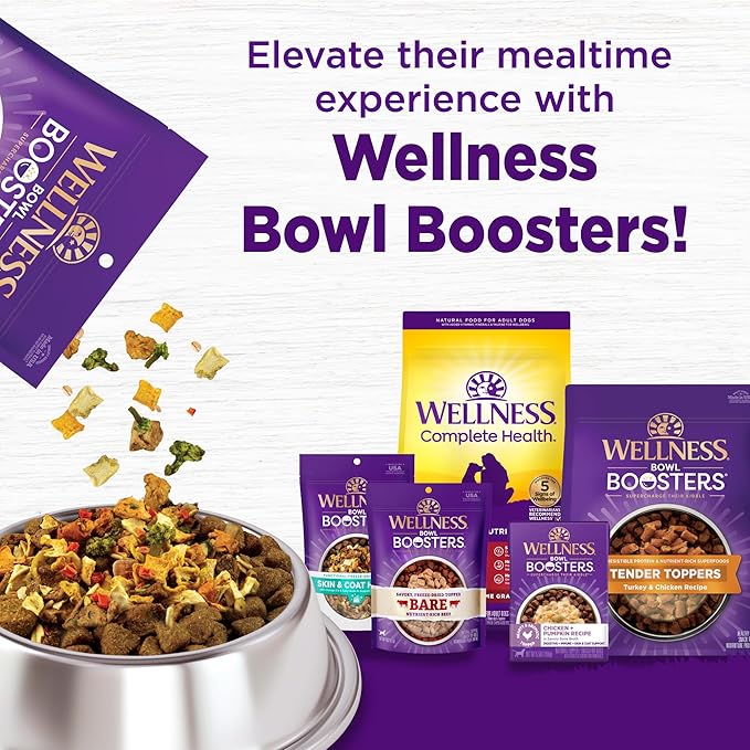 Wellness Complete Health Dry Dog Food, Wholesome Grains, Natural, Lamb & Barley, (5-Pound Bag)