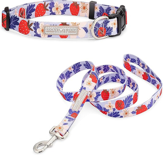 Lucky Love Dog - Easy Click Buckle Dog Collar with Leash Set Combo, Durable & Comfortable for Male & Female Dogs, Pet Collar for Small Dogs, Secure Fit - Sweet Berry Combo, Small